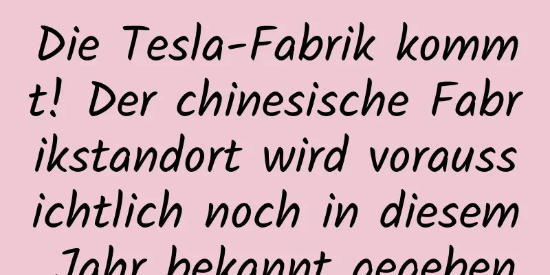 Die Tesla-Fabrik kommt! Der chinesische Fabrikstandort wird voraussichtlich noch in diesem Jahr bekannt gegeben