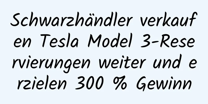 Schwarzhändler verkaufen Tesla Model 3-Reservierungen weiter und erzielen 300 % Gewinn