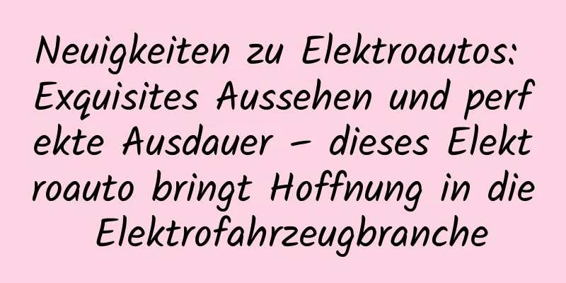 Neuigkeiten zu Elektroautos: Exquisites Aussehen und perfekte Ausdauer – dieses Elektroauto bringt Hoffnung in die Elektrofahrzeugbranche