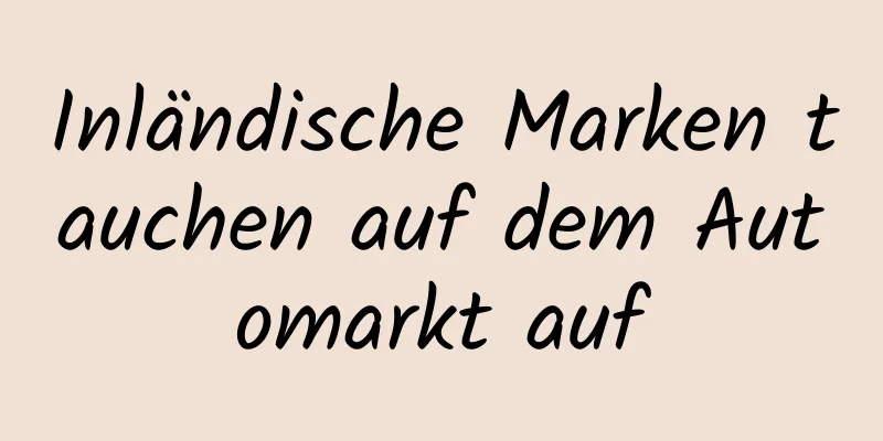 Inländische Marken tauchen auf dem Automarkt auf