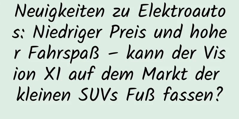 Neuigkeiten zu Elektroautos: Niedriger Preis und hoher Fahrspaß – kann der Vision X1 auf dem Markt der kleinen SUVs Fuß fassen?