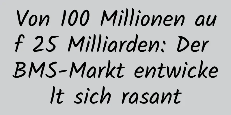 Von 100 Millionen auf 25 Milliarden: Der BMS-Markt entwickelt sich rasant