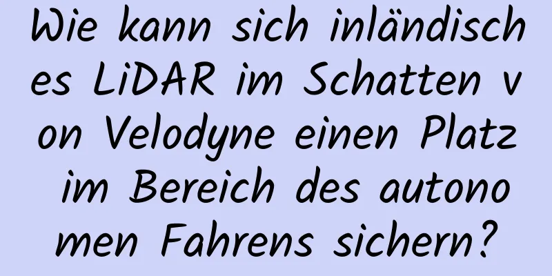 Wie kann sich inländisches LiDAR im Schatten von Velodyne einen Platz im Bereich des autonomen Fahrens sichern?