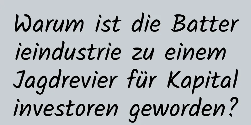 Warum ist die Batterieindustrie zu einem Jagdrevier für Kapitalinvestoren geworden?