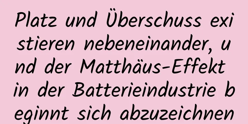 Platz und Überschuss existieren nebeneinander, und der Matthäus-Effekt in der Batterieindustrie beginnt sich abzuzeichnen