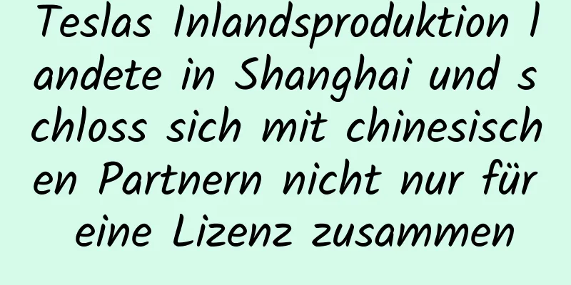 Teslas Inlandsproduktion landete in Shanghai und schloss sich mit chinesischen Partnern nicht nur für eine Lizenz zusammen