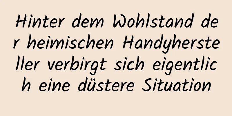 Hinter dem Wohlstand der heimischen Handyhersteller verbirgt sich eigentlich eine düstere Situation