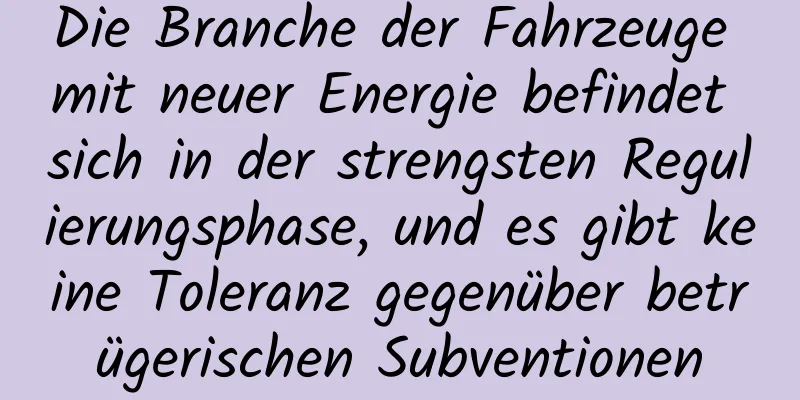 Die Branche der Fahrzeuge mit neuer Energie befindet sich in der strengsten Regulierungsphase, und es gibt keine Toleranz gegenüber betrügerischen Subventionen