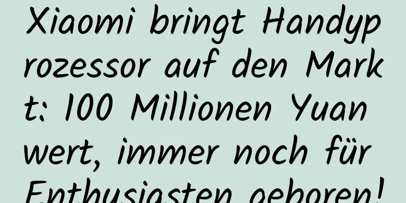 Xiaomi bringt Handyprozessor auf den Markt: 100 Millionen Yuan wert, immer noch für Enthusiasten geboren!