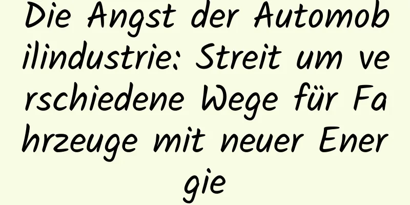 Die Angst der Automobilindustrie: Streit um verschiedene Wege für Fahrzeuge mit neuer Energie