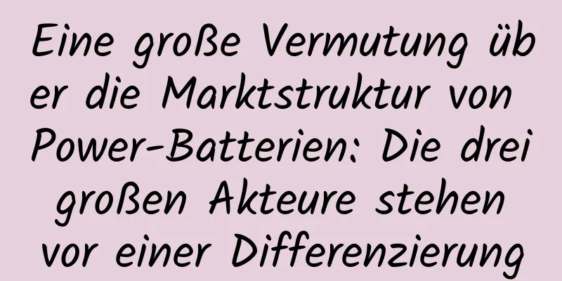 Eine große Vermutung über die Marktstruktur von Power-Batterien: Die drei großen Akteure stehen vor einer Differenzierung