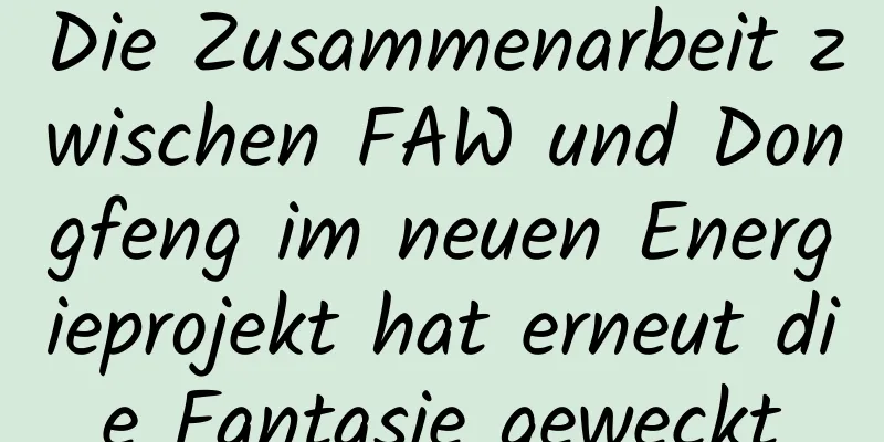 Die Zusammenarbeit zwischen FAW und Dongfeng im neuen Energieprojekt hat erneut die Fantasie geweckt