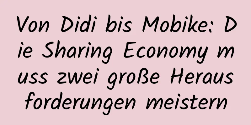Von Didi bis Mobike: Die Sharing Economy muss zwei große Herausforderungen meistern