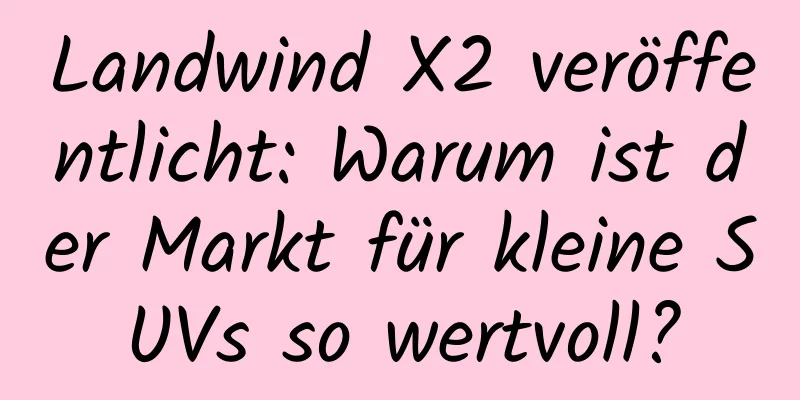 Landwind X2 veröffentlicht: Warum ist der Markt für kleine SUVs so wertvoll?