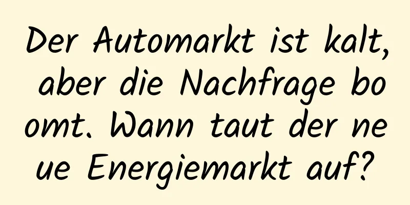 Der Automarkt ist kalt, aber die Nachfrage boomt. Wann taut der neue Energiemarkt auf?