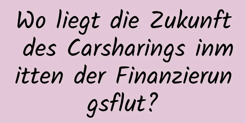 Wo liegt die Zukunft des Carsharings inmitten der Finanzierungsflut?