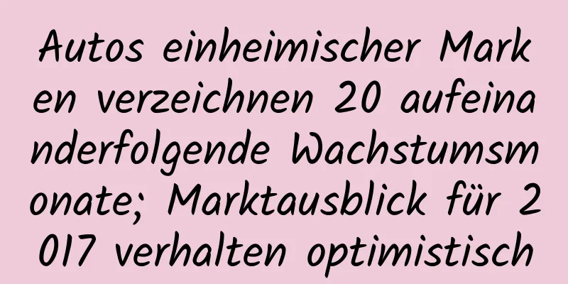 Autos einheimischer Marken verzeichnen 20 aufeinanderfolgende Wachstumsmonate; Marktausblick für 2017 verhalten optimistisch