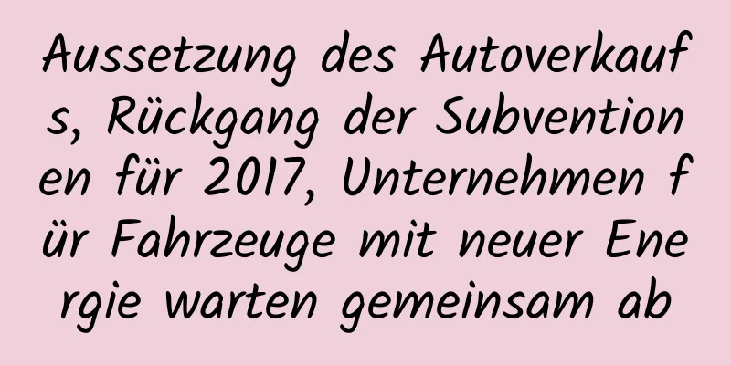 Aussetzung des Autoverkaufs, Rückgang der Subventionen für 2017, Unternehmen für Fahrzeuge mit neuer Energie warten gemeinsam ab
