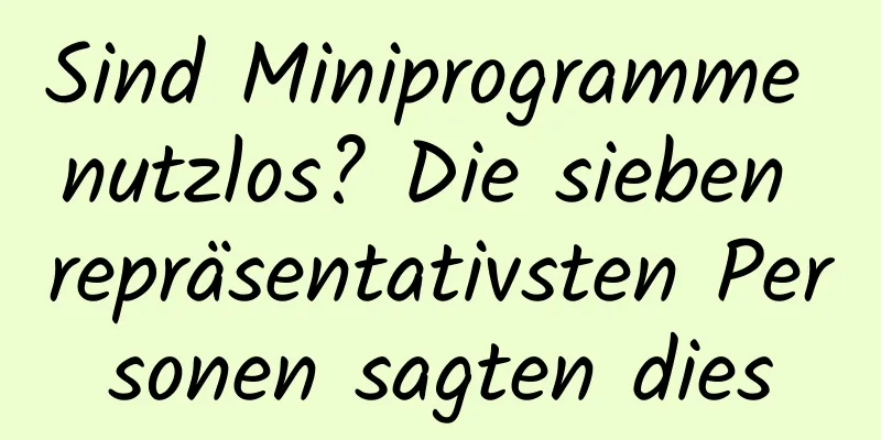Sind Miniprogramme nutzlos? Die sieben repräsentativsten Personen sagten dies