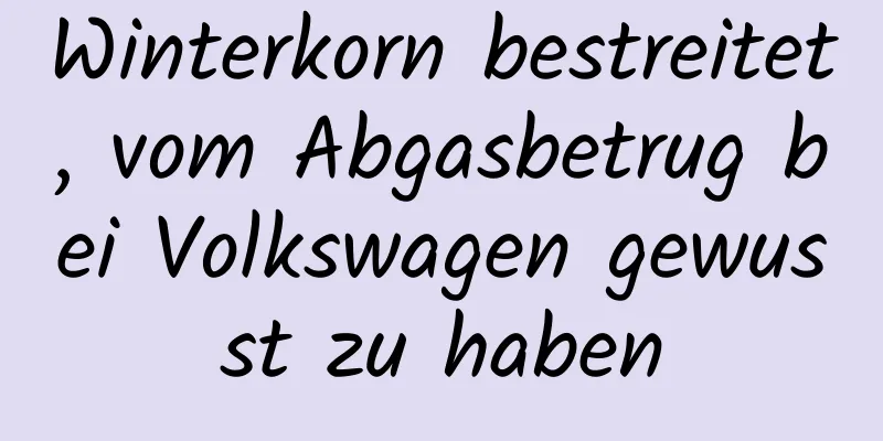 Winterkorn bestreitet, vom Abgasbetrug bei Volkswagen gewusst zu haben