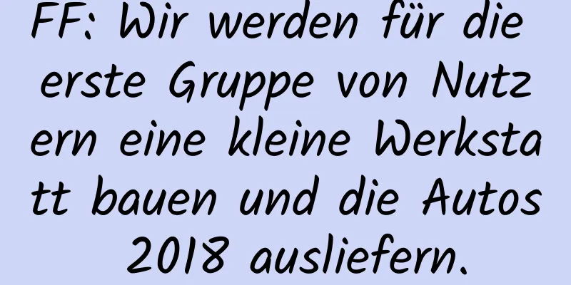 FF: Wir werden für die erste Gruppe von Nutzern eine kleine Werkstatt bauen und die Autos 2018 ausliefern.
