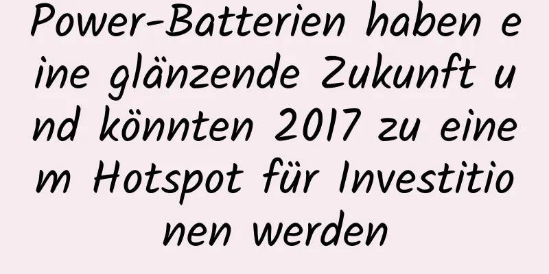 Power-Batterien haben eine glänzende Zukunft und könnten 2017 zu einem Hotspot für Investitionen werden
