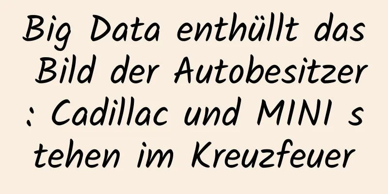 Big Data enthüllt das Bild der Autobesitzer: Cadillac und MINI stehen im Kreuzfeuer