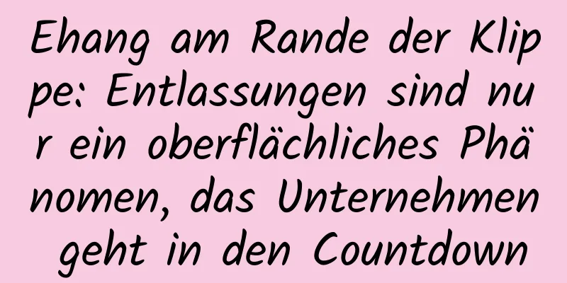 Ehang am Rande der Klippe: Entlassungen sind nur ein oberflächliches Phänomen, das Unternehmen geht in den Countdown