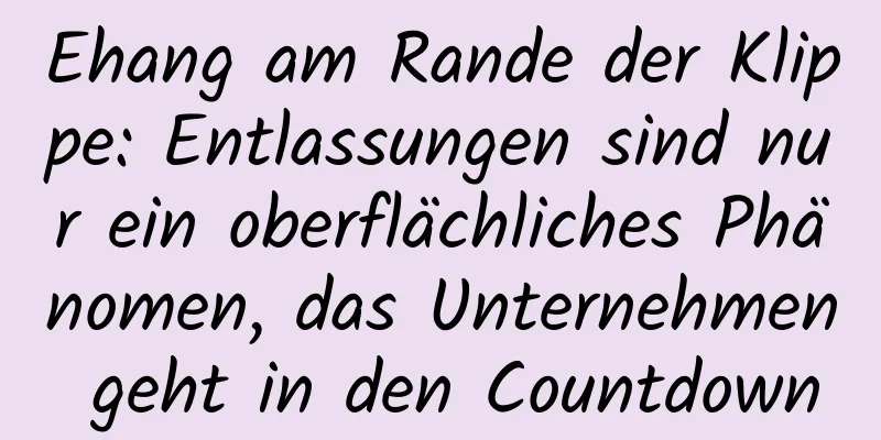 Ehang am Rande der Klippe: Entlassungen sind nur ein oberflächliches Phänomen, das Unternehmen geht in den Countdown