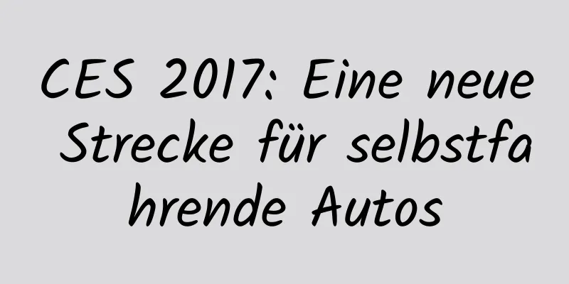 CES 2017: Eine neue Strecke für selbstfahrende Autos