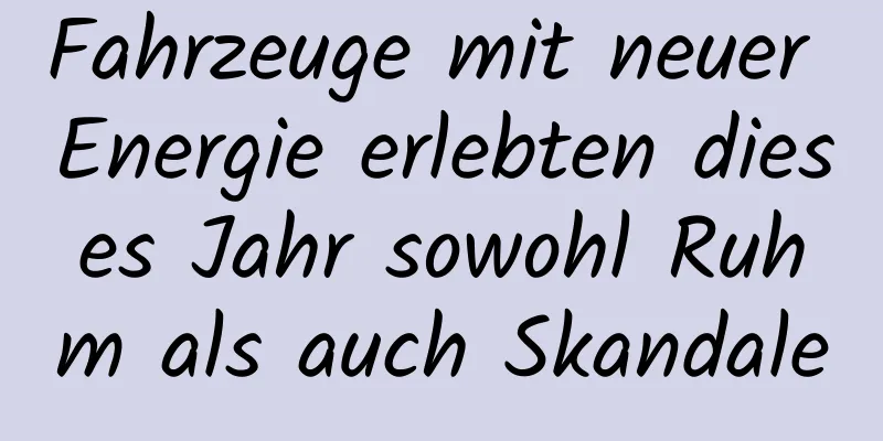 Fahrzeuge mit neuer Energie erlebten dieses Jahr sowohl Ruhm als auch Skandale