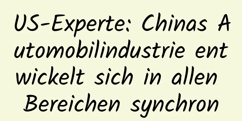 US-Experte: Chinas Automobilindustrie entwickelt sich in allen Bereichen synchron