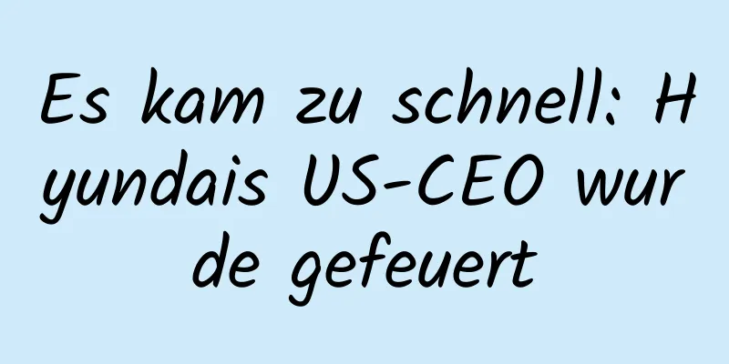 Es kam zu schnell: Hyundais US-CEO wurde gefeuert