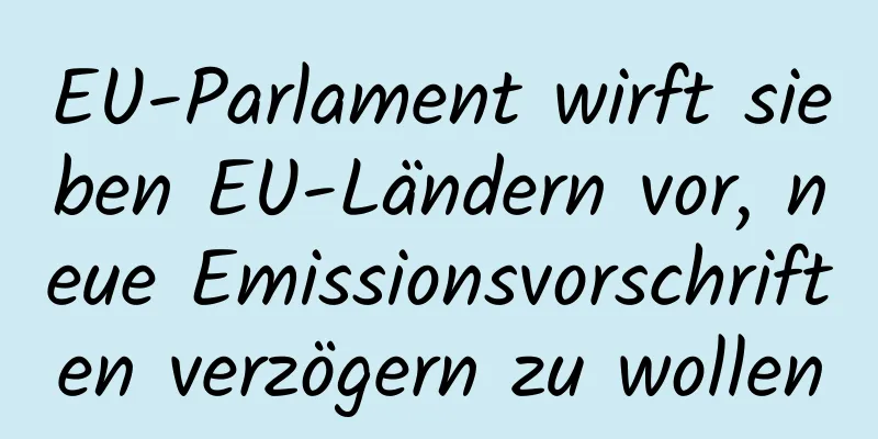 EU-Parlament wirft sieben EU-Ländern vor, neue Emissionsvorschriften verzögern zu wollen