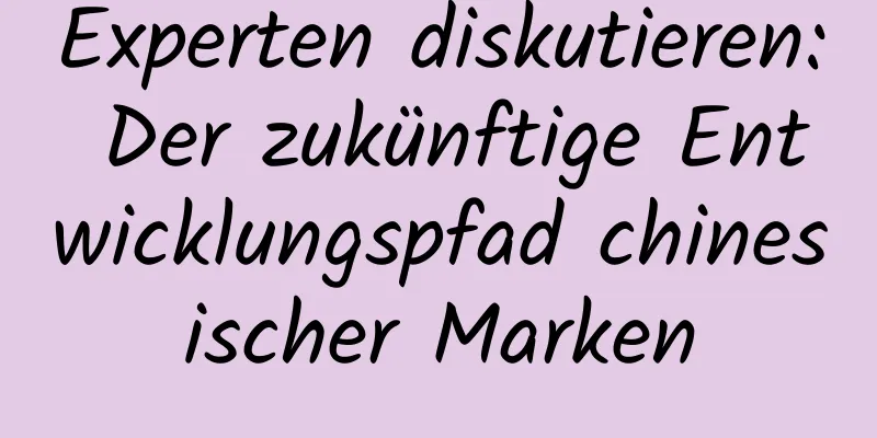 Experten diskutieren: Der zukünftige Entwicklungspfad chinesischer Marken