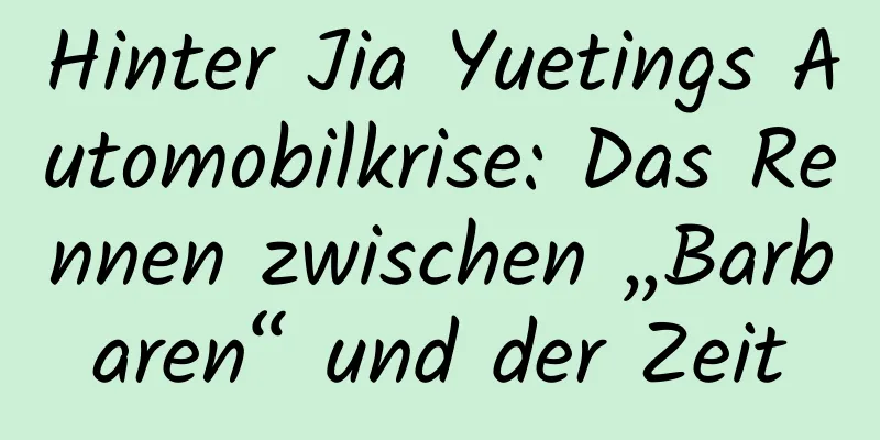 Hinter Jia Yuetings Automobilkrise: Das Rennen zwischen „Barbaren“ und der Zeit