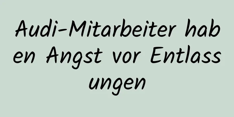 Audi-Mitarbeiter haben Angst vor Entlassungen