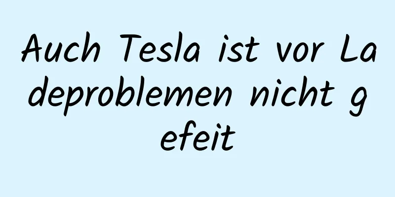 Auch Tesla ist vor Ladeproblemen nicht gefeit