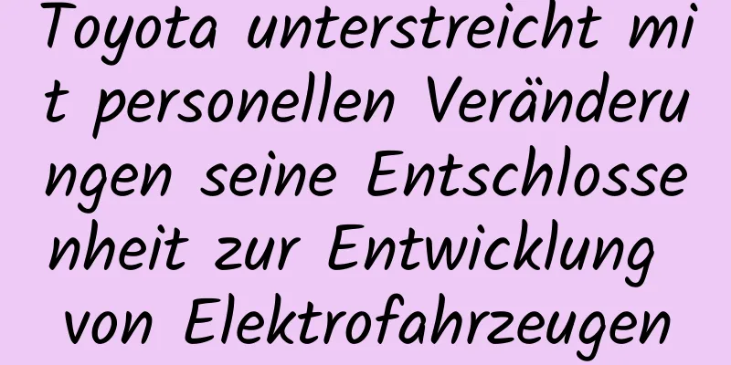 Toyota unterstreicht mit personellen Veränderungen seine Entschlossenheit zur Entwicklung von Elektrofahrzeugen