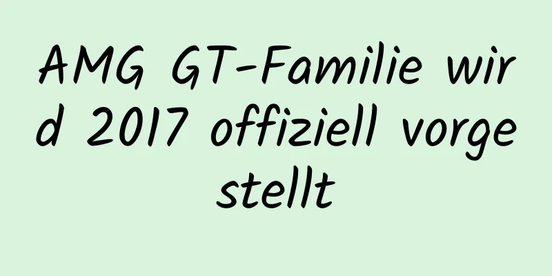 AMG GT-Familie wird 2017 offiziell vorgestellt
