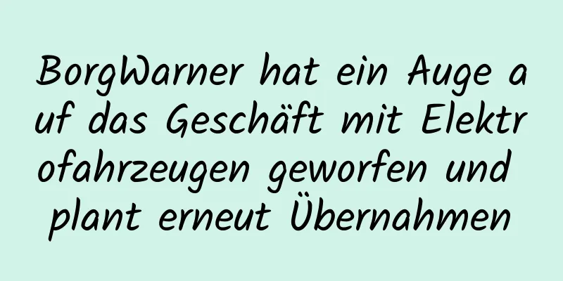 BorgWarner hat ein Auge auf das Geschäft mit Elektrofahrzeugen geworfen und plant erneut Übernahmen