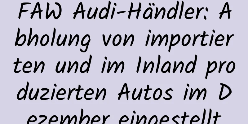 FAW Audi-Händler: Abholung von importierten und im Inland produzierten Autos im Dezember eingestellt