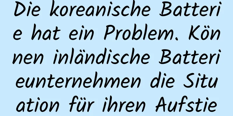 Die koreanische Batterie hat ein Problem. Können inländische Batterieunternehmen die Situation für ihren Aufstieg ausnutzen?
