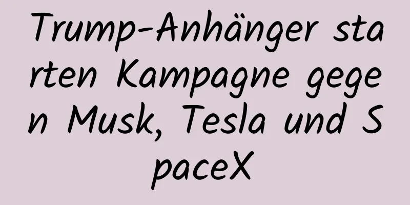 Trump-Anhänger starten Kampagne gegen Musk, Tesla und SpaceX