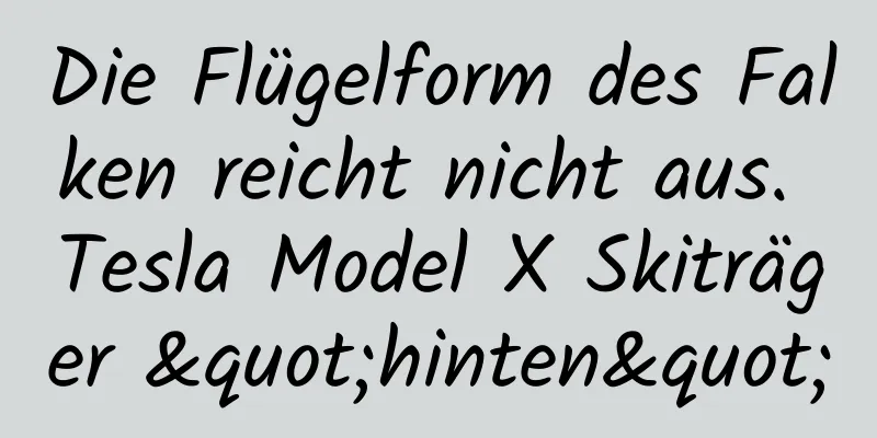 Die Flügelform des Falken reicht nicht aus. Tesla Model X Skiträger "hinten"