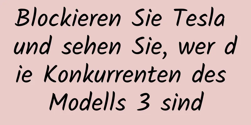 Blockieren Sie Tesla und sehen Sie, wer die Konkurrenten des Modells 3 sind