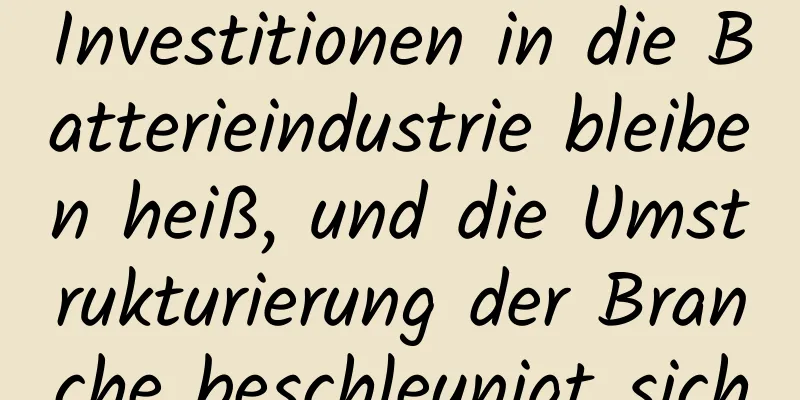 Investitionen in die Batterieindustrie bleiben heiß, und die Umstrukturierung der Branche beschleunigt sich