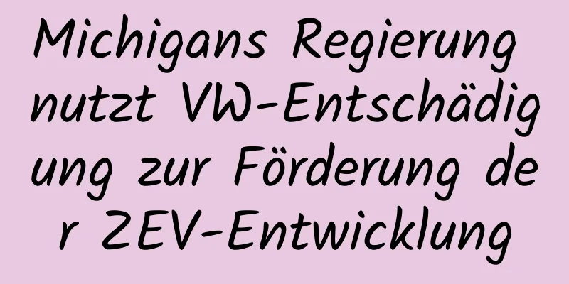 Michigans Regierung nutzt VW-Entschädigung zur Förderung der ZEV-Entwicklung