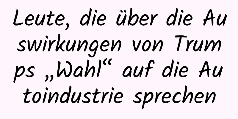 Leute, die über die Auswirkungen von Trumps „Wahl“ auf die Autoindustrie sprechen