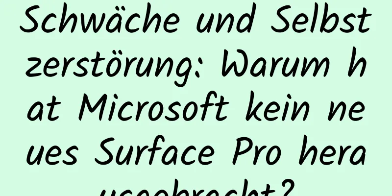 Schwäche und Selbstzerstörung: Warum hat Microsoft kein neues Surface Pro herausgebracht?